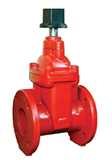 Model FGN 909 Non Rising Stem Flanged Joint Ends Resilient Wedge Gate Valve