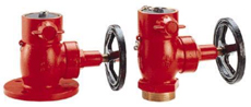 Globe Valve