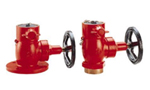 Globe Valve